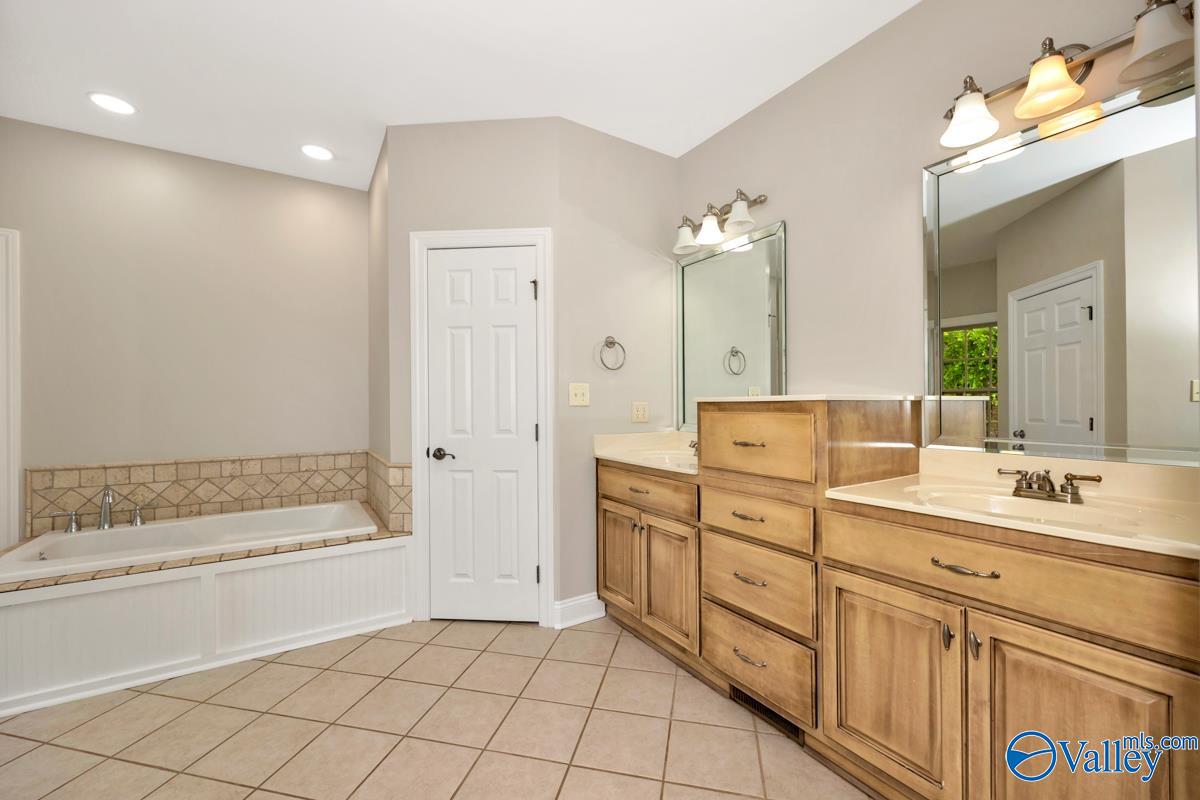 24527 Queen Annes Lace, Athens, Alabama image 24