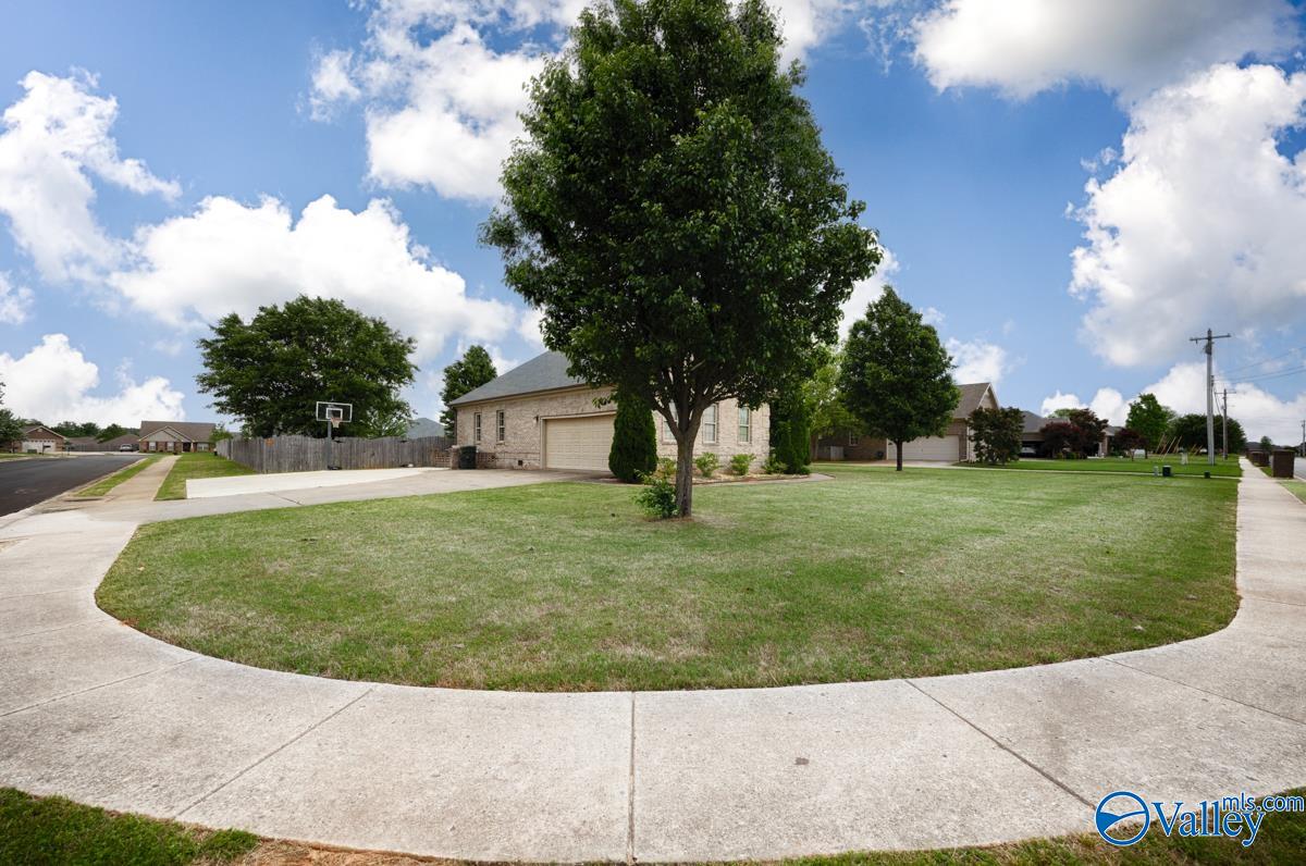 24527 Queen Annes Lace, Athens, Alabama image 6