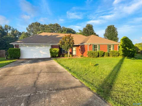 Homes For Sale - 223 Williston Drive<br/> Madison County, Huntsville, AL 35806