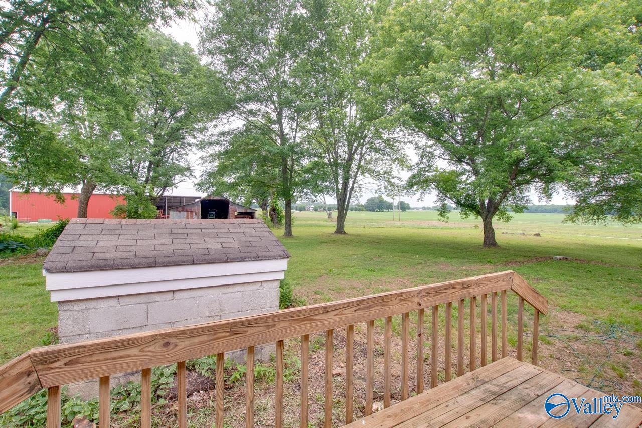 569 County Road 119, Rogersville, Alabama image 30