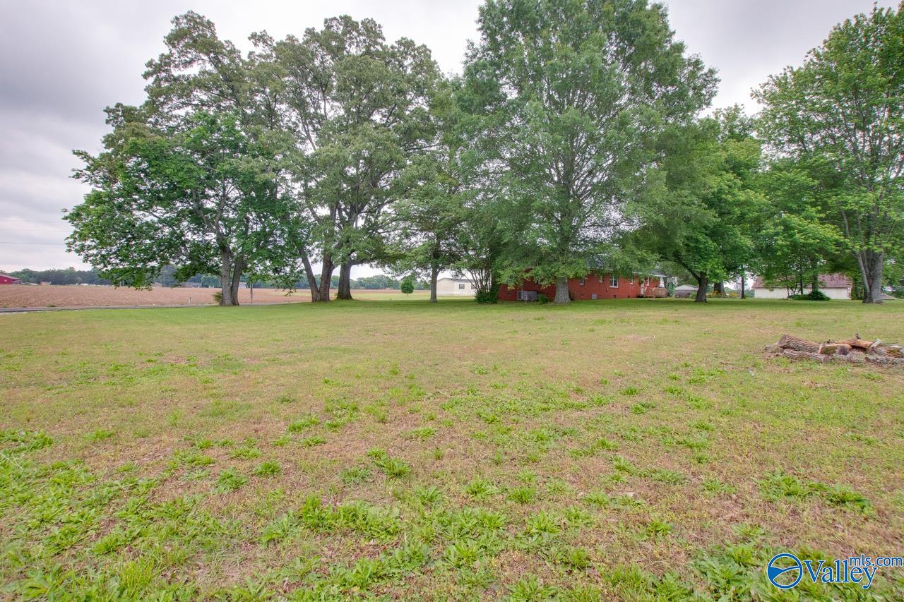 569 County Road 119, Rogersville, Alabama image 35