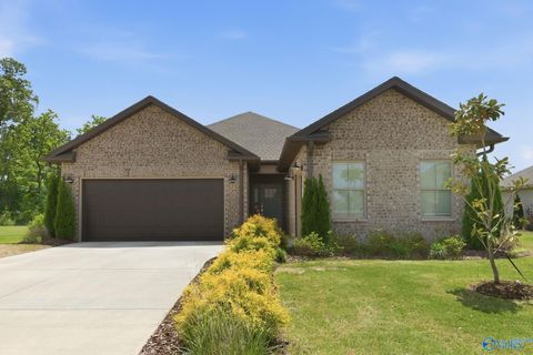 Photo of 134 Sager Circle, Harvest, AL 35749 (MLS # 21917090)