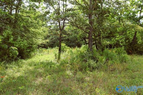 Vacant Land For Sale - 3 ACRES County Road 198<br/> Danville, AL 35619