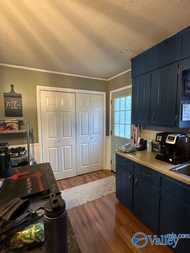 437 County Road 224, Dutton, Alabama image 11