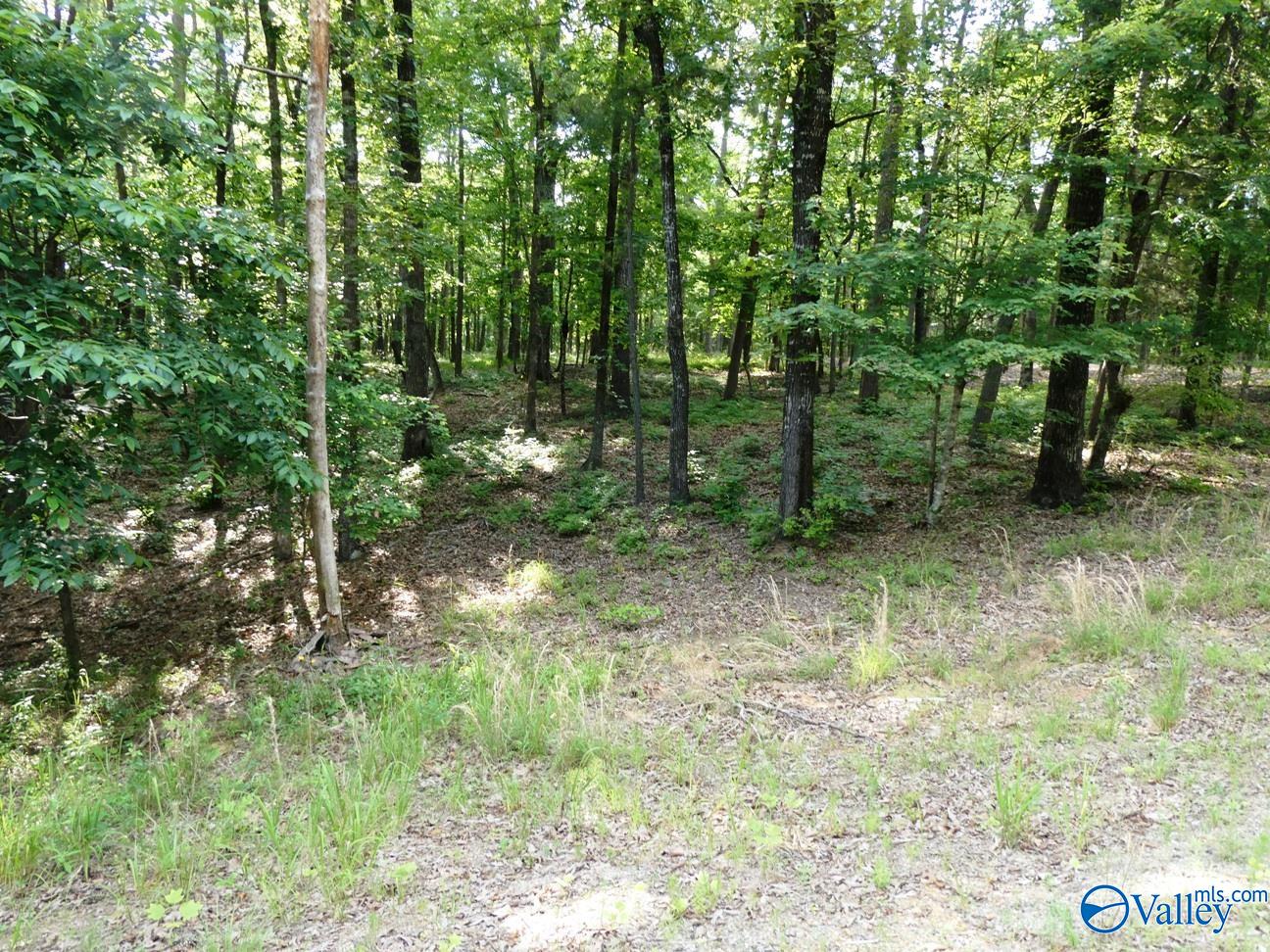 Lot 49 Harbor Loop