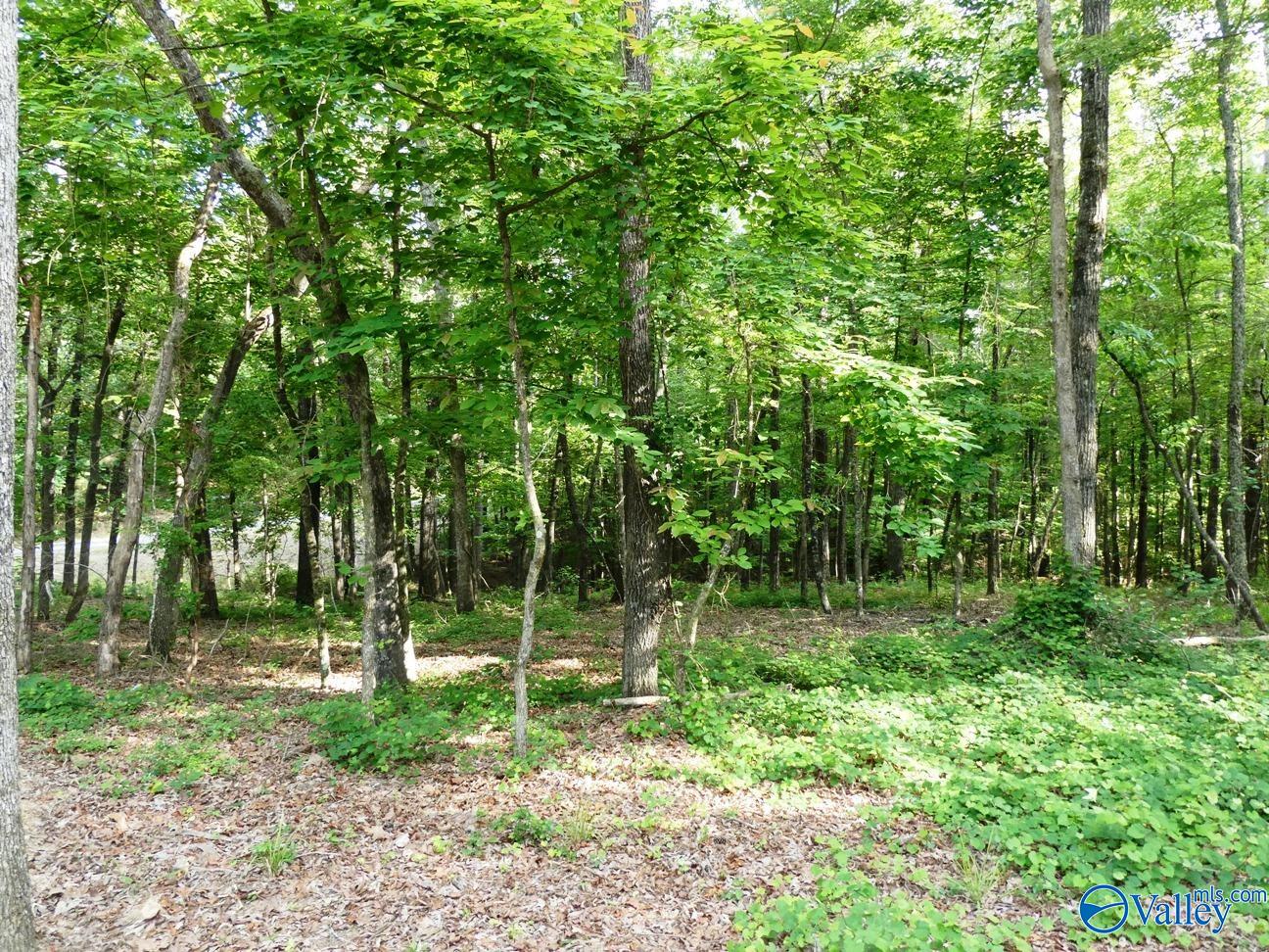 Lot 49 Harbor Loop