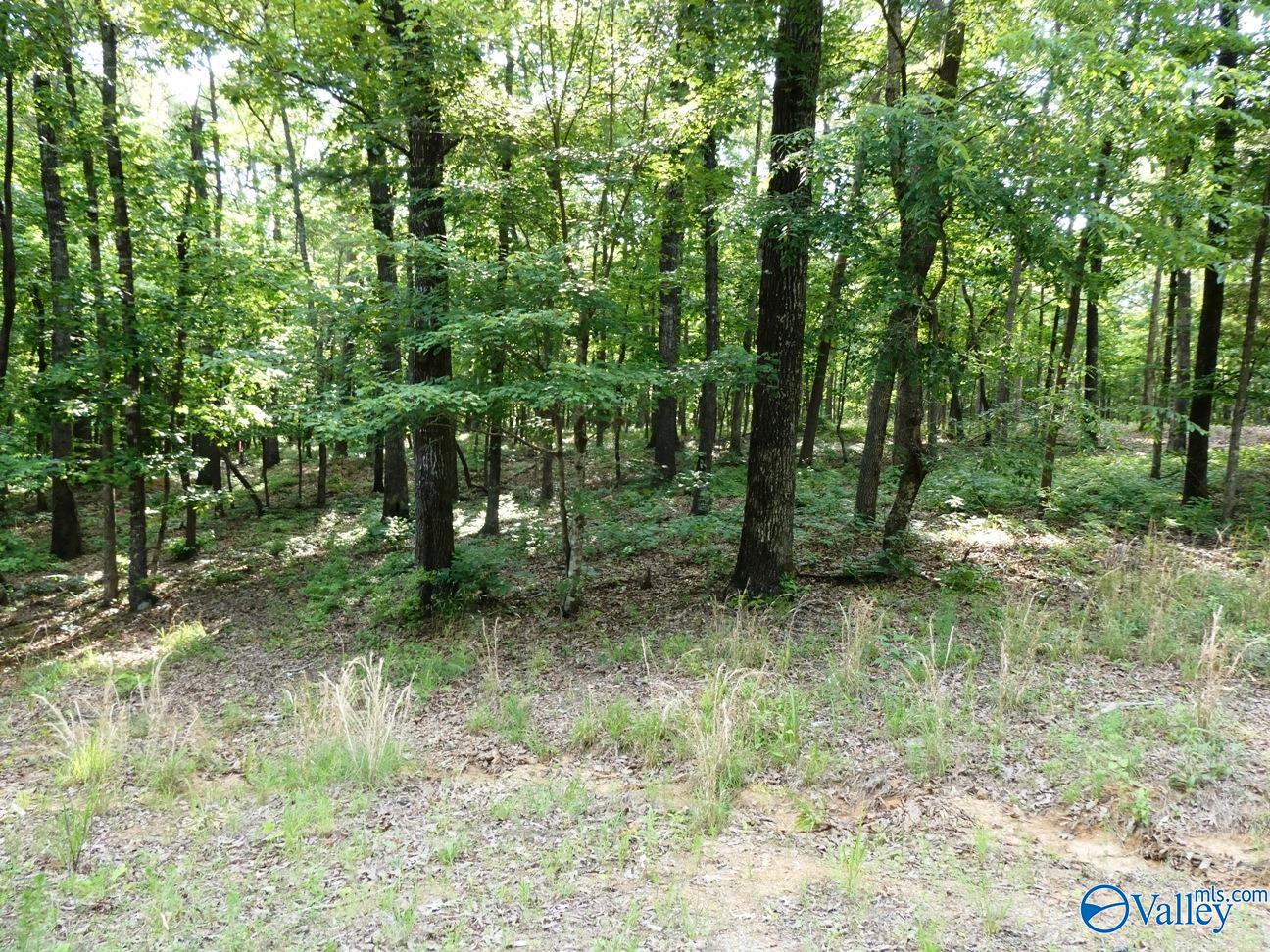 Lot 49 Harbor Loop