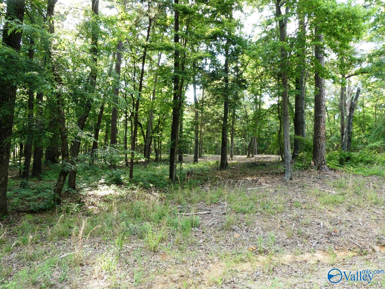Lot 49 Harbor Loop