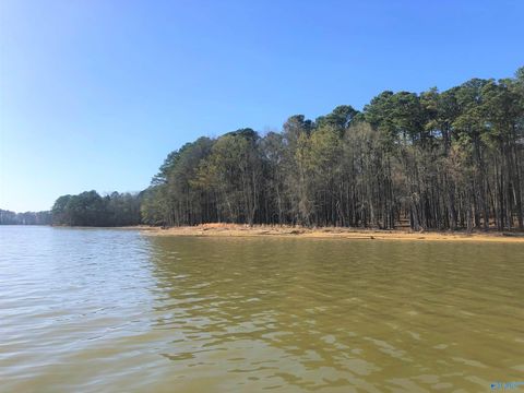 Vacant Land For Sale - LOT 17 Little River Landing<br/> Cherokee County, Cedar Bluff, AL 35959
