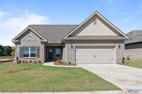 Photo of 149 Balboa Road, Meridianville, AL 35759 (MLS # 21919186)