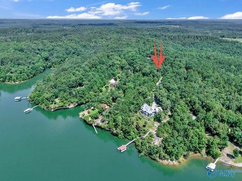 Vacant Land For Sale - LOT 6 Whippoorwill Drive<br/> Double Springs, AL 35553