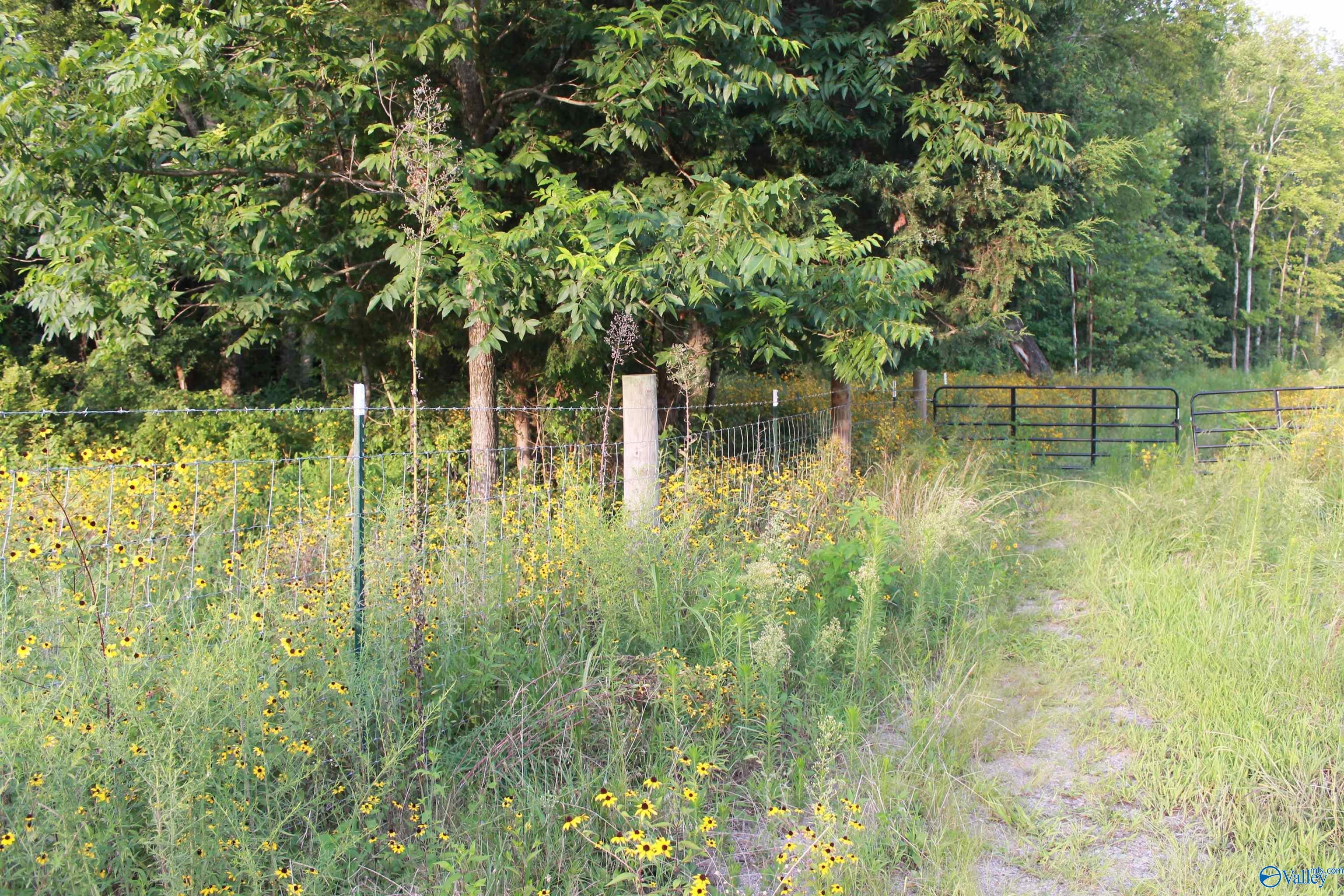 40.5 South Danville Road