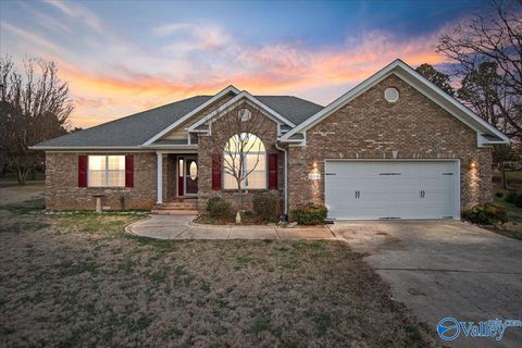 Photo of 104 Peach Grove Lane, Meridianville, AL 35759 (MLS # 21911280)