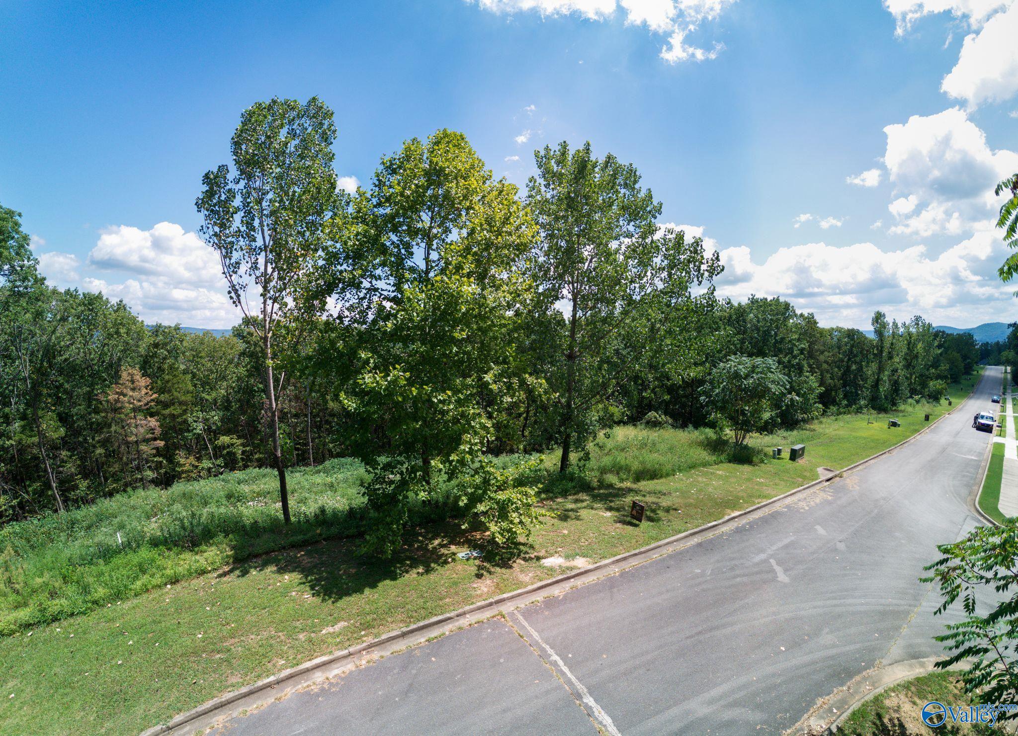 7031 Ridge Crest Road #LOT 51, Owens Cross Roads, Alabama image 26