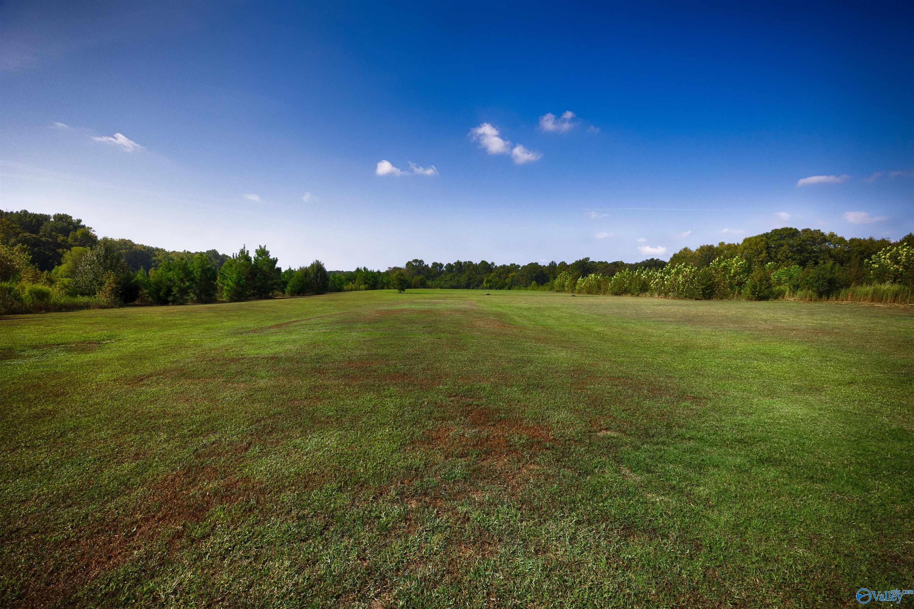15694 Huntsville Brownsferry Road