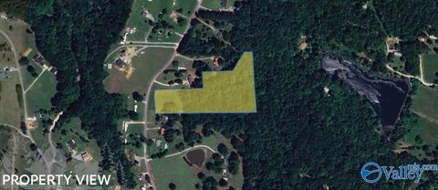 Vacant Land For Sale - 610 County Road 372<br/> Hillsboro, AL 35643