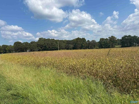 Vacant Land For Sale - 1929 North Carlisle Street<br/> Marshall County, Albertville, AL 35951