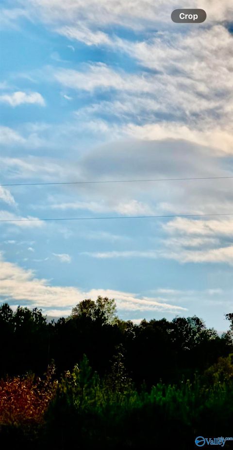 Vacant Land For Sale - LOT 3 County Road 39<br/> Cherokee County, Piedmont, AL 36272