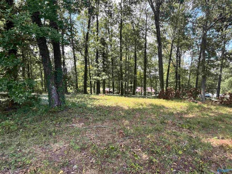 Vacant Land For Sale - 1307 Bellevue Drive<br/> Gadsden, AL 35904