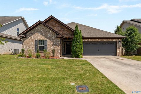 Homes For Rent - 3013 Mallard Point Drive<br/> Owens Cross Roads, AL 35763