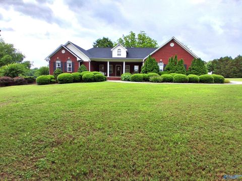 Homes For Sale - 305 County Highway 48<br/> Blountsville, AL 35031