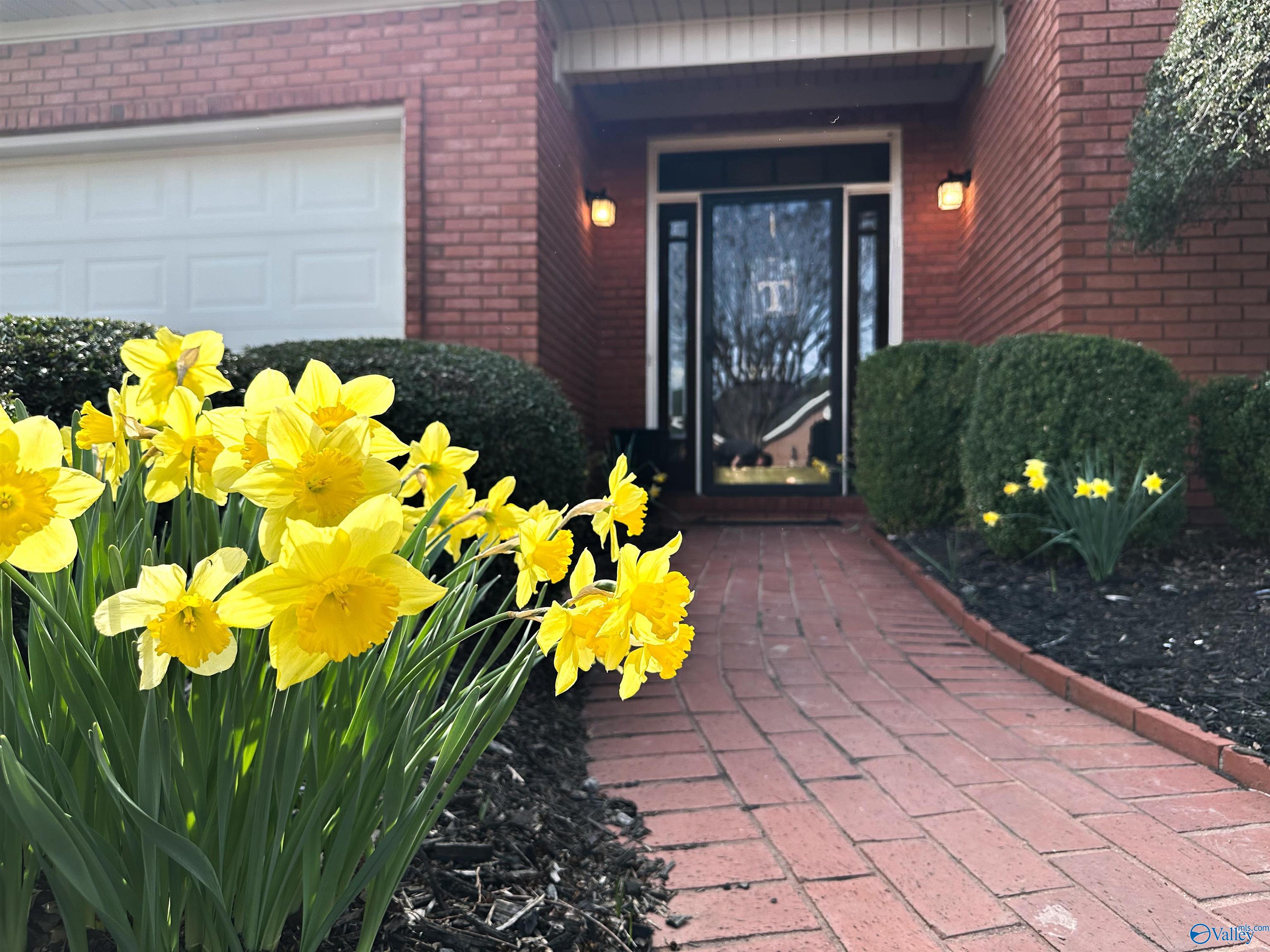3711 Orange Court, Decatur, Alabama image 6