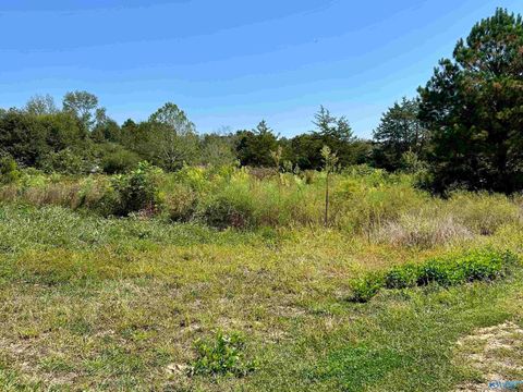 Vacant Land For Sale - 5675 Nixon Chapel Road<br/> Albertville, AL 35950