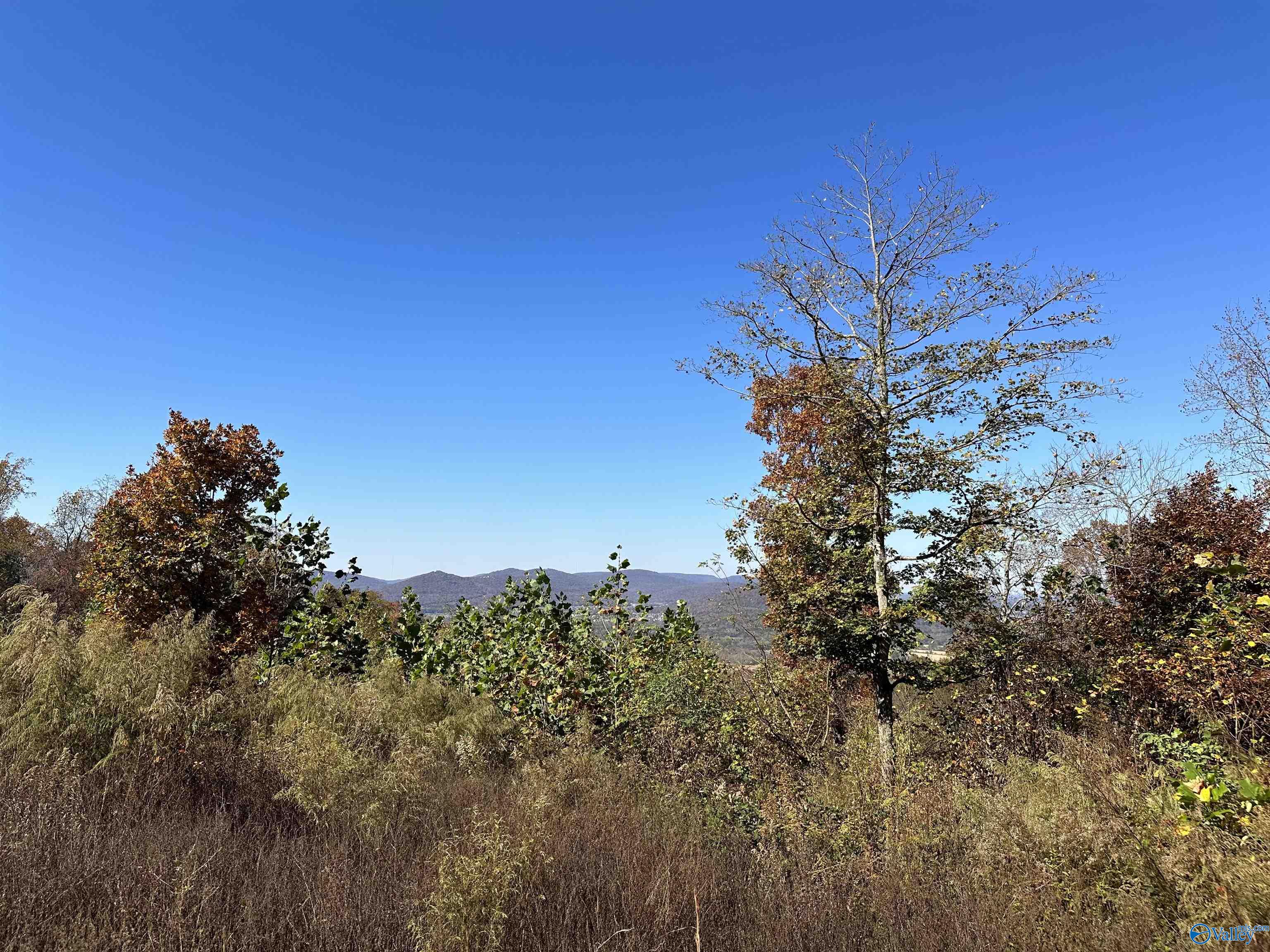 4 Acres Keel Mountain Road, Gurley, Alabama image 2