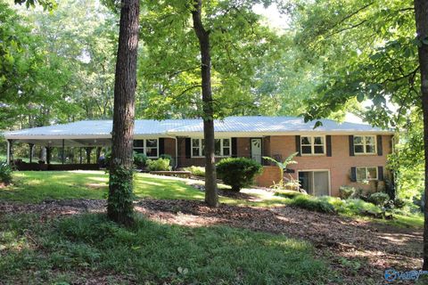 Homes For Sale - 6811 Alabama Highway 69<br/> Guntersville, AL 35976