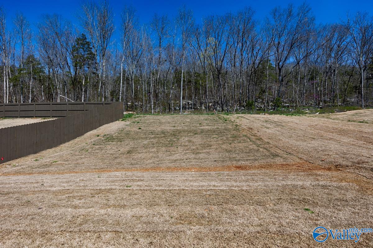 6537 Oak Meadow Drive, Owens Cross Roads, Alabama image 7