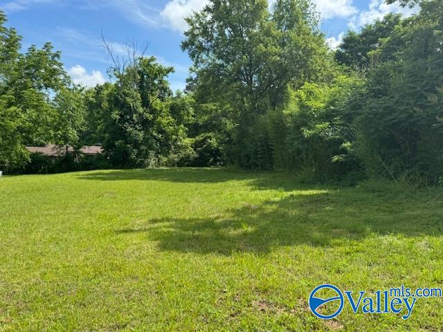 Lots 3 & 4 20th Street NE