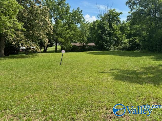 Lots 3 & 4 20th Street NE