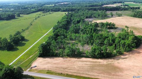 Vacant Land For Sale - TRACTS 678 Sandlin Road<br/> Elkmont, AL 35620