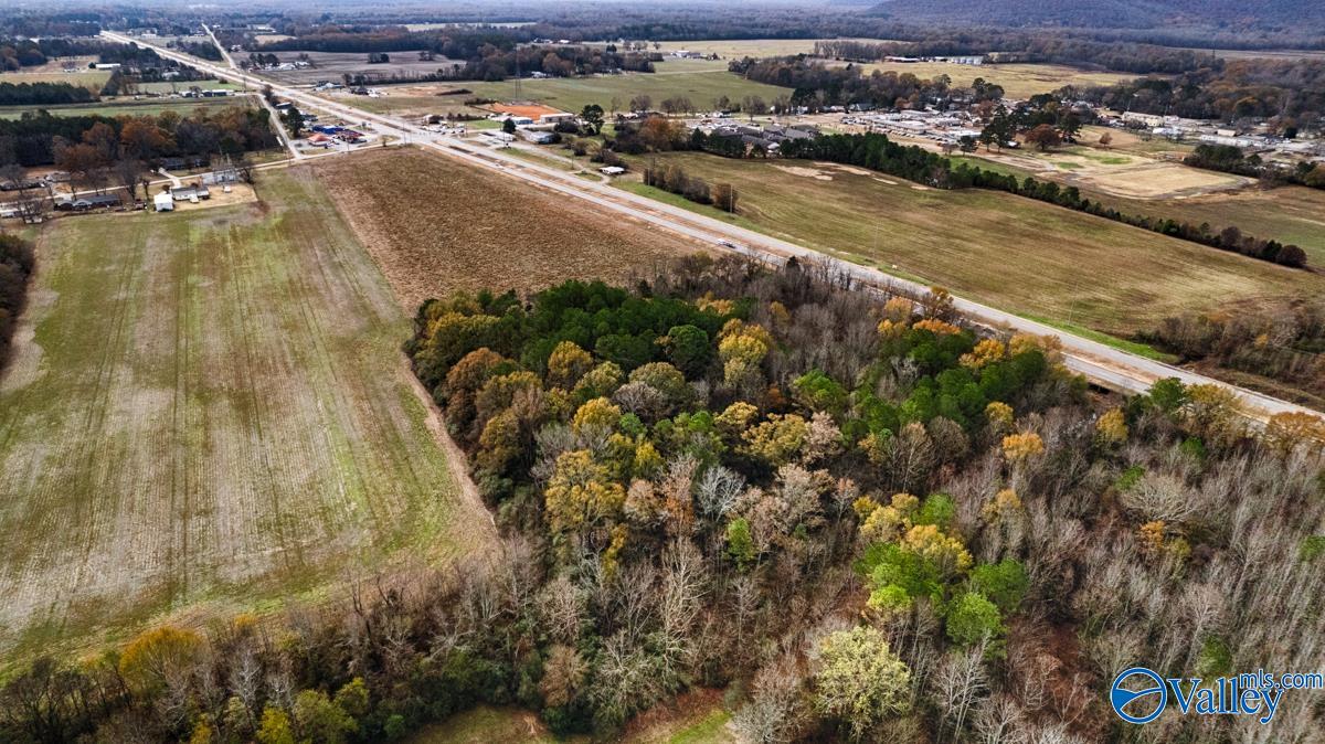 11 Acres Cave Spring Road, Owens Cross Roads, Alabama image 3