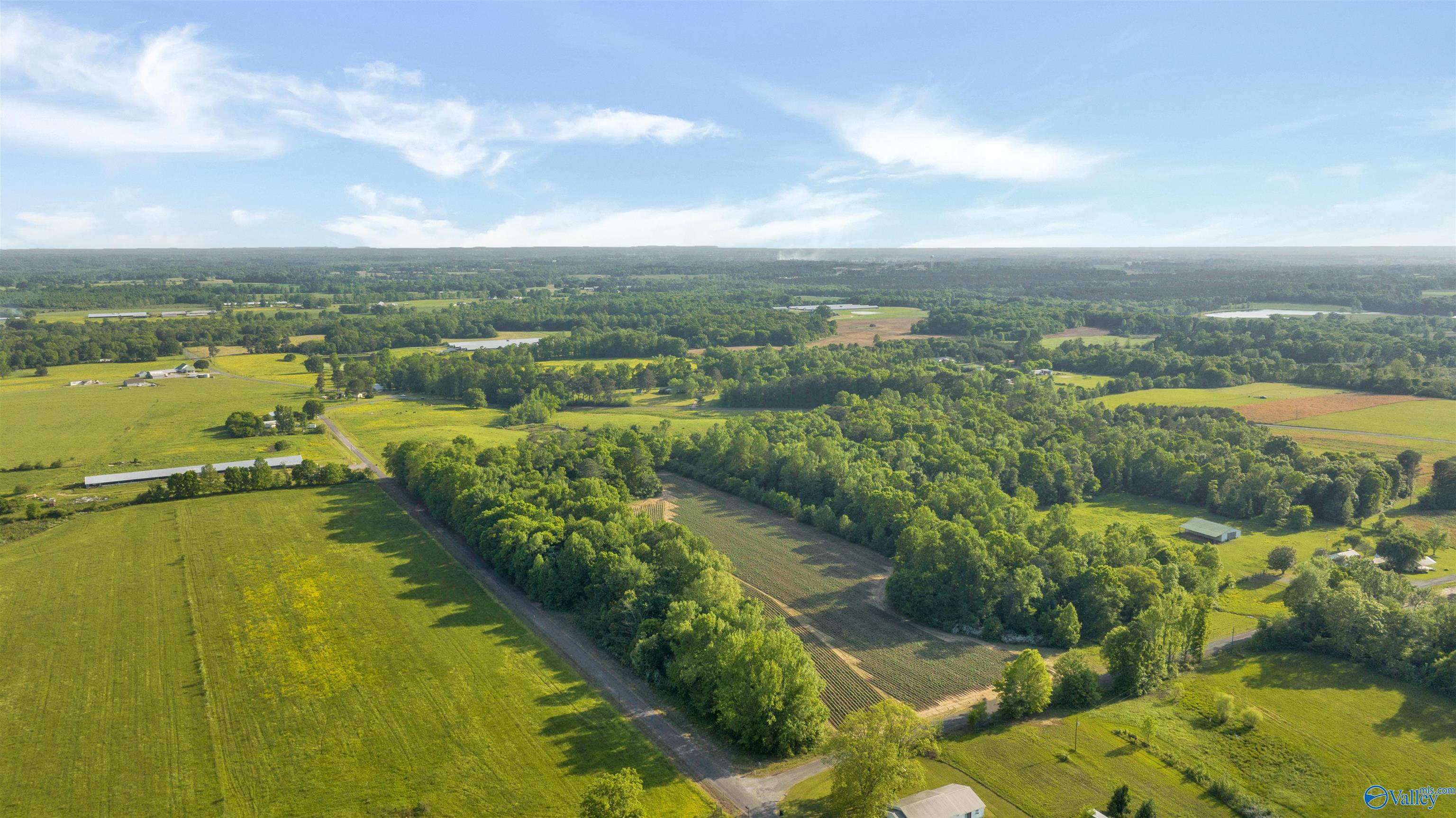 10.65 Acres County Road 405, Dutton, Alabama image 2