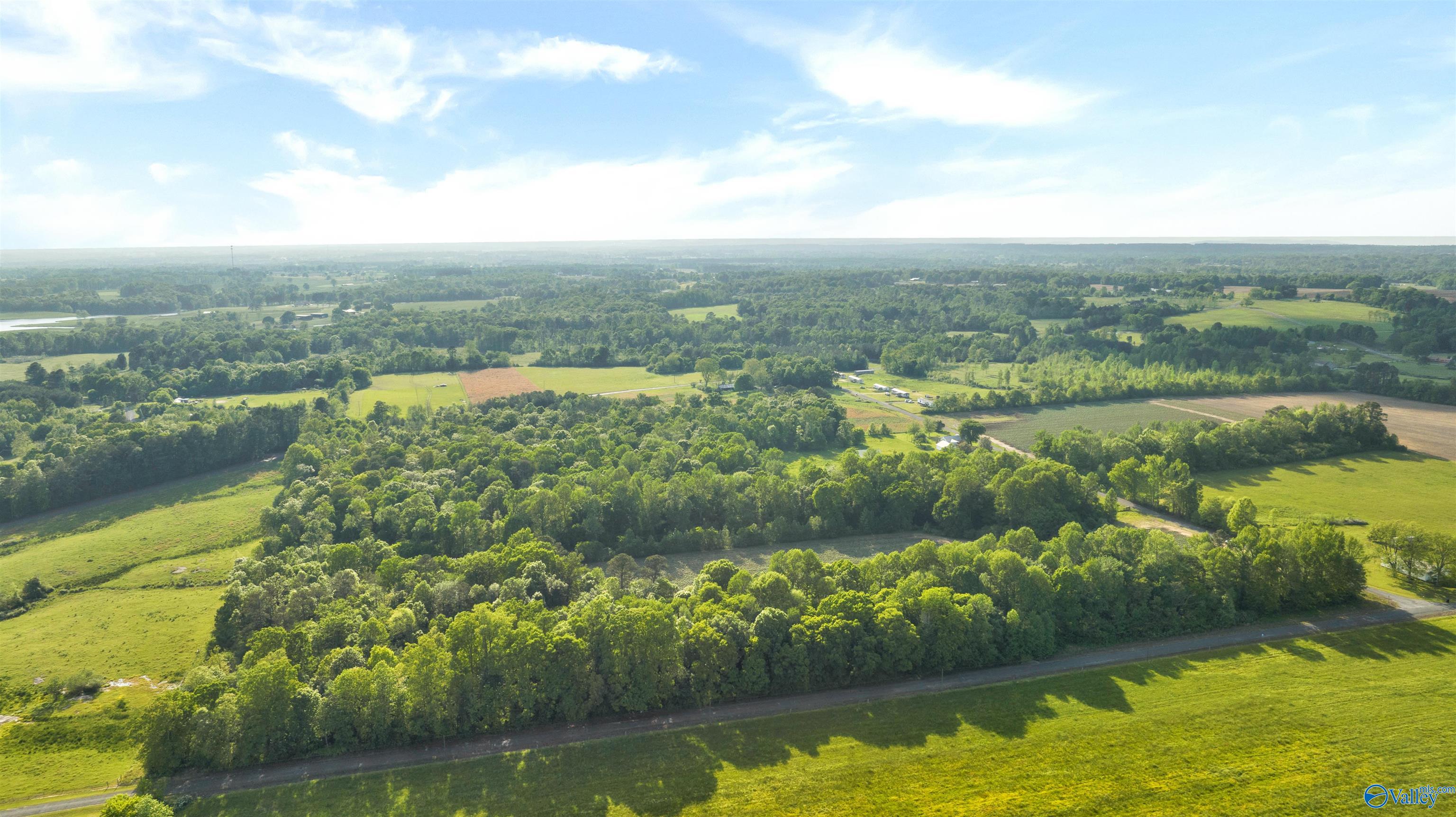 10.65 Acres County Road 405, Dutton, Alabama image 6