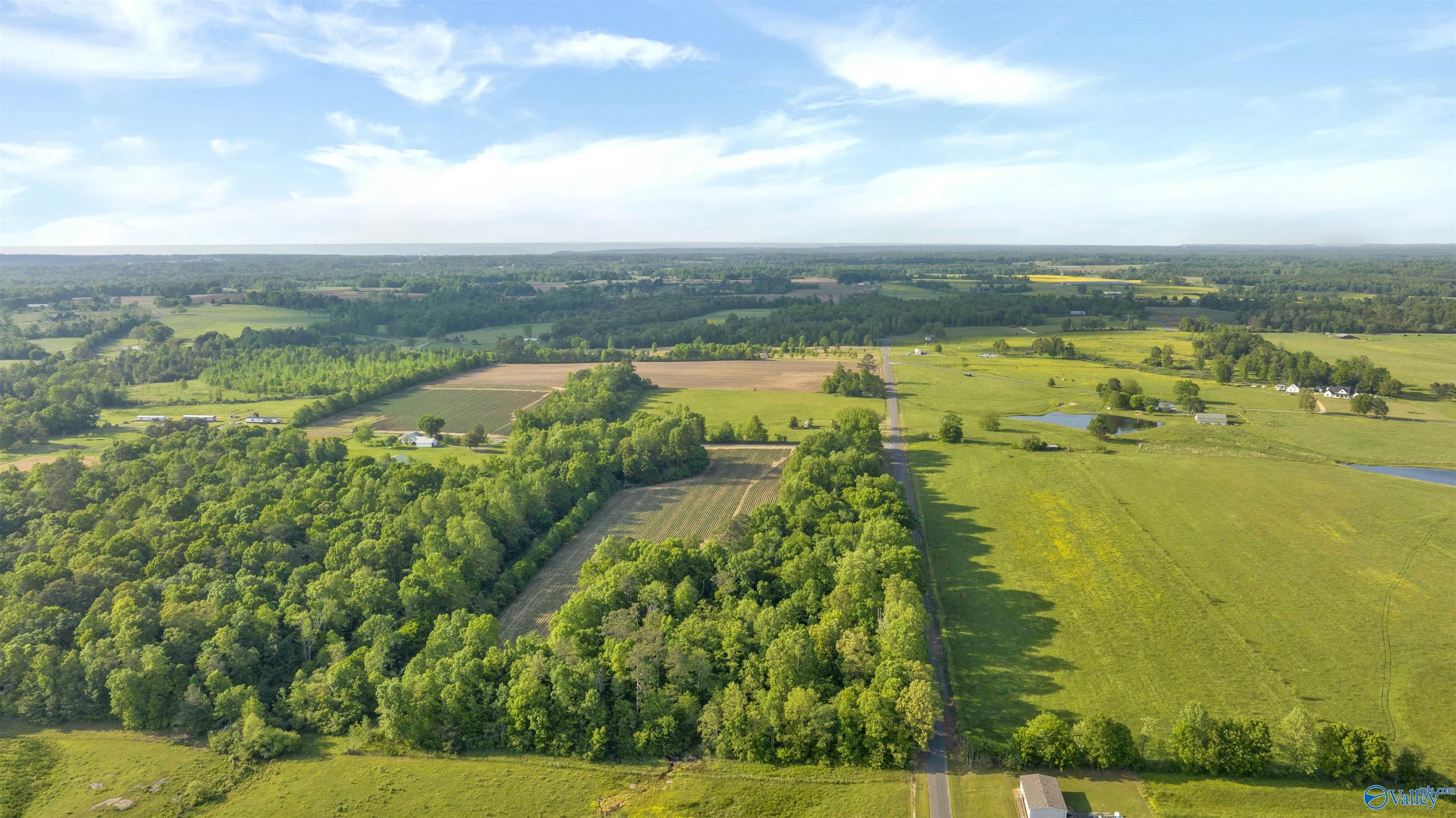 10.65 Acres County Road 405, Dutton, Alabama image 8
