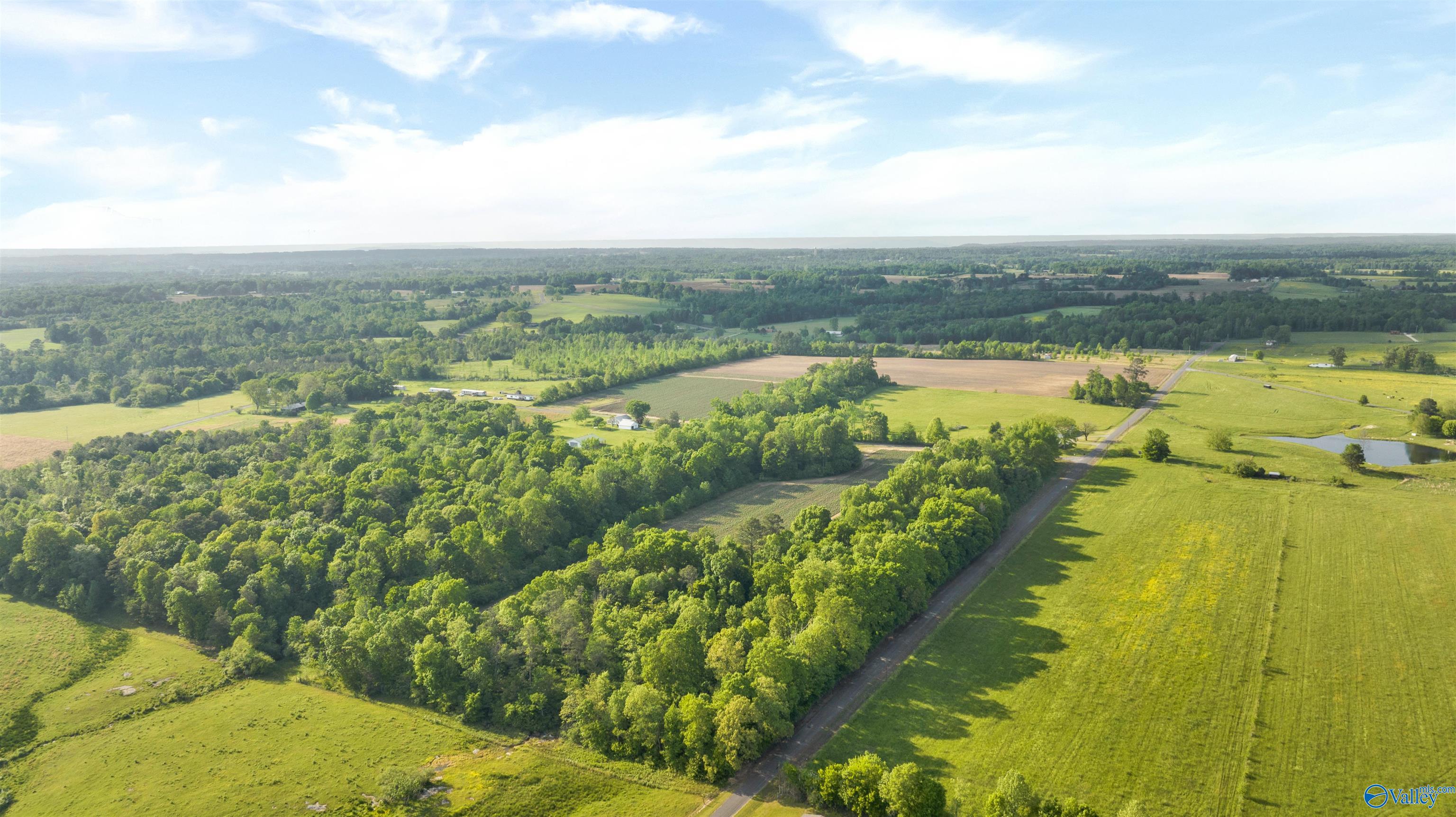 10.65 Acres County Road 405, Dutton, Alabama image 7