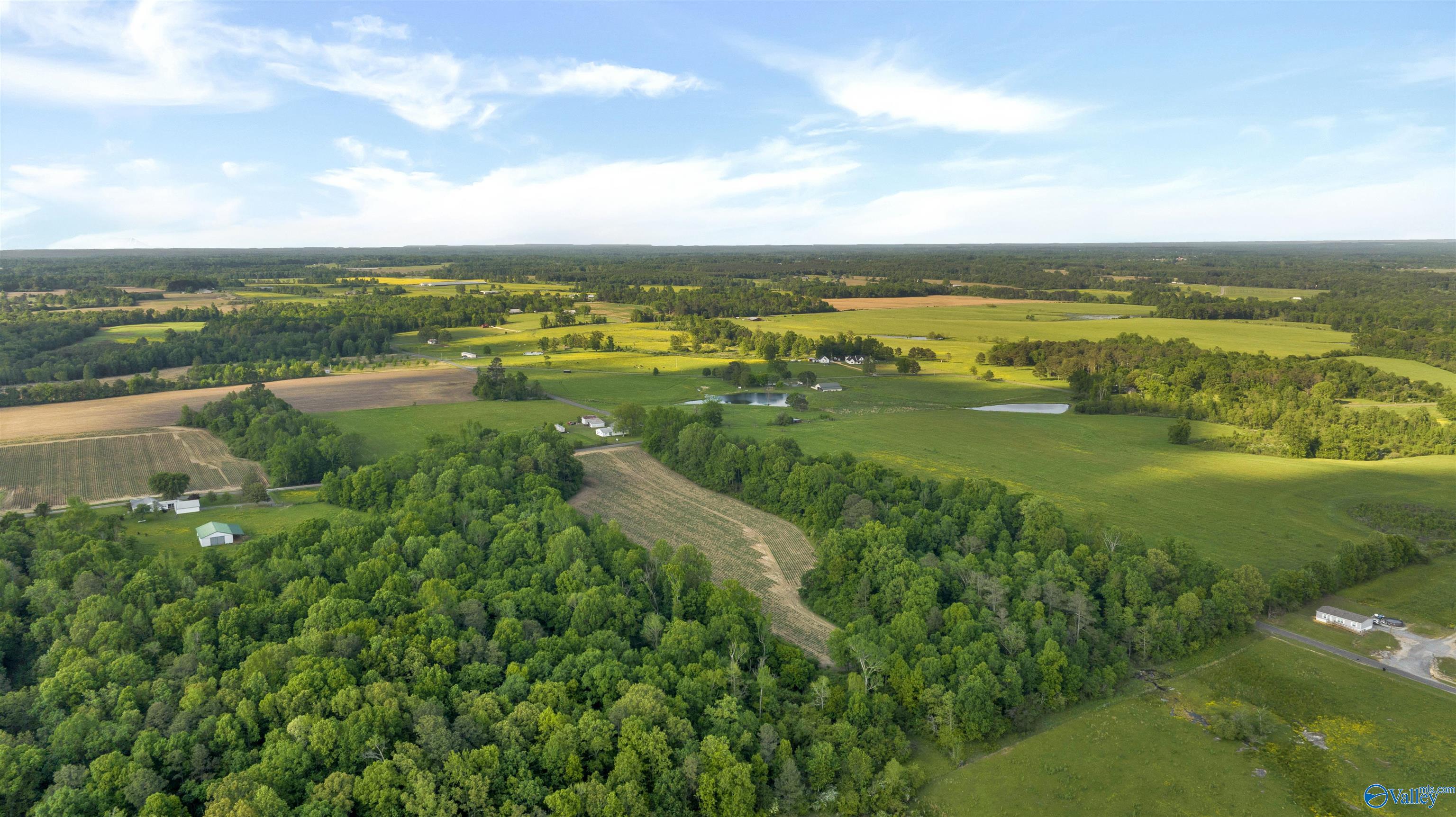 10.65 Acres County Road 405, Dutton, Alabama image 13