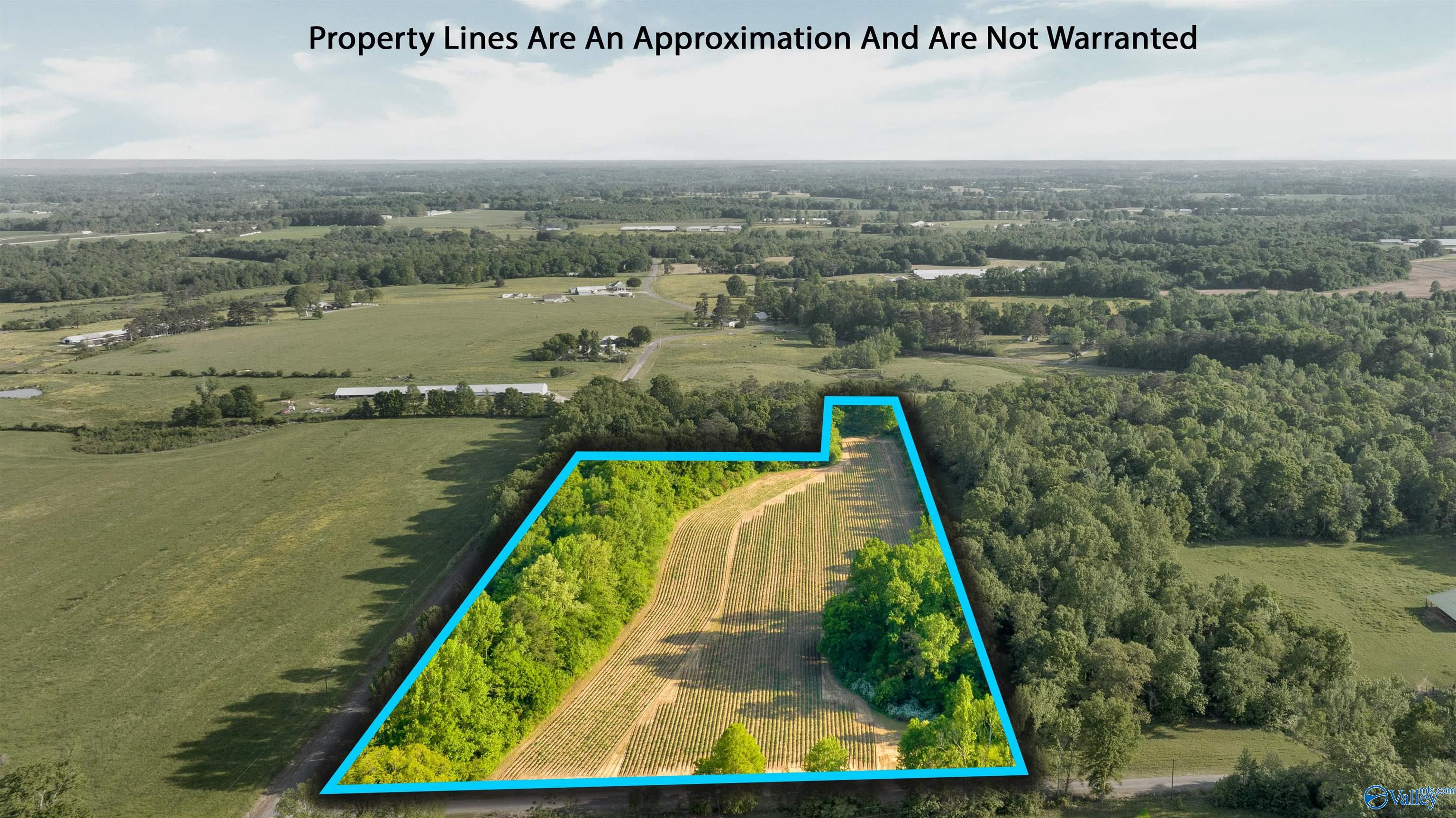 10.65 Acres County Road 405, Dutton, Alabama image 1
