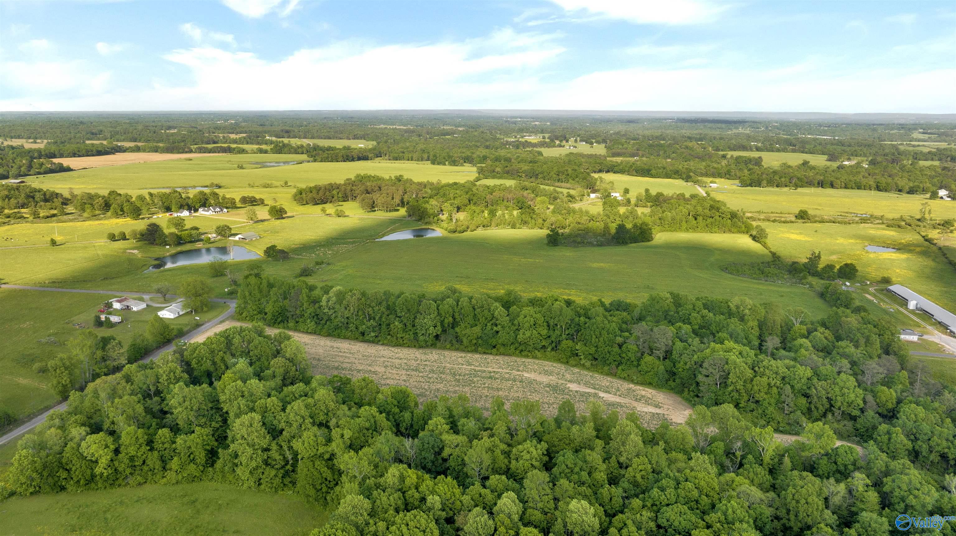 10.65 Acres County Road 405, Dutton, Alabama image 12