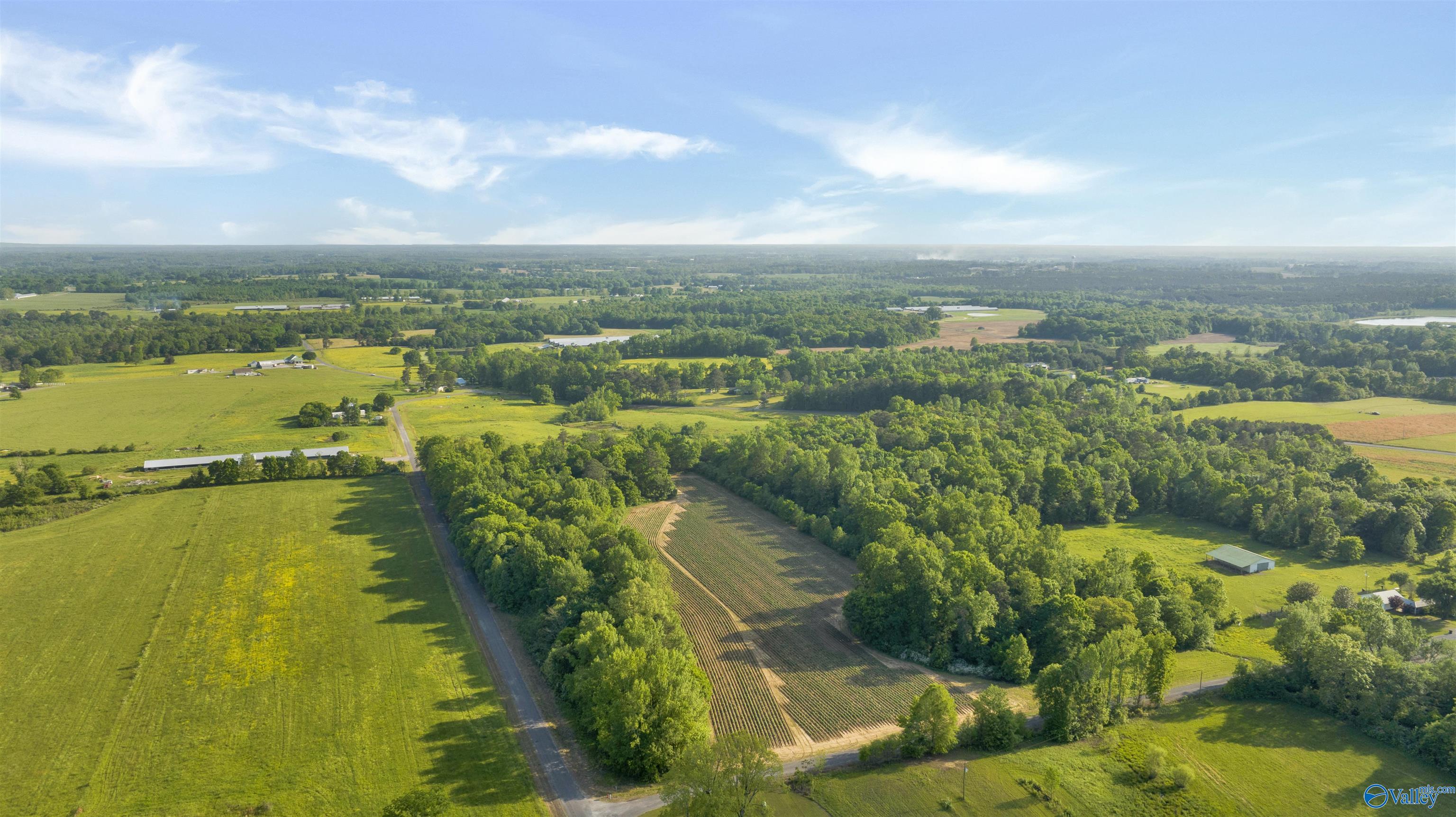 10.65 Acres County Road 405, Dutton, Alabama image 14