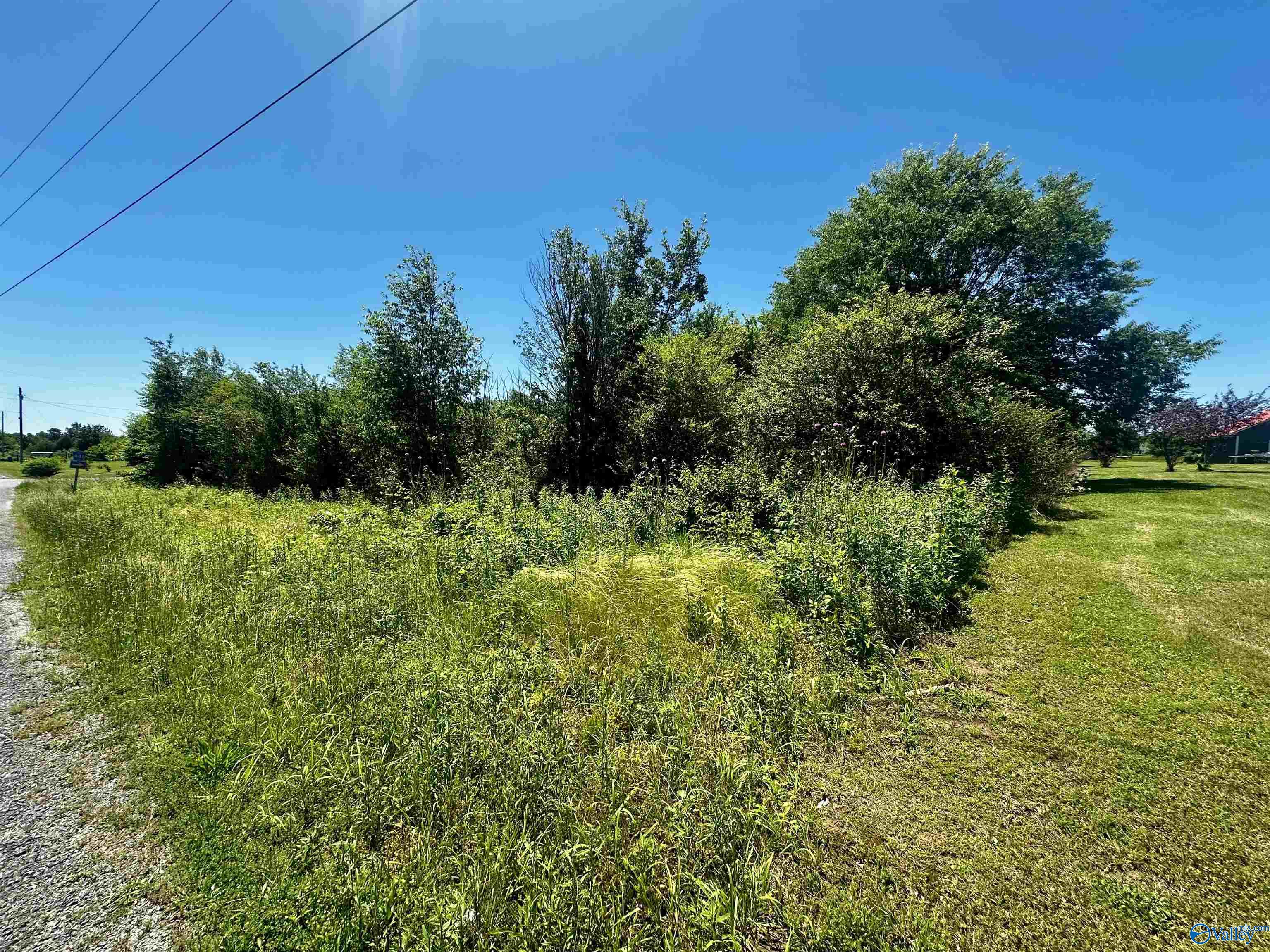 .85 Acre County Road 441, Rainsville, Alabama image 7