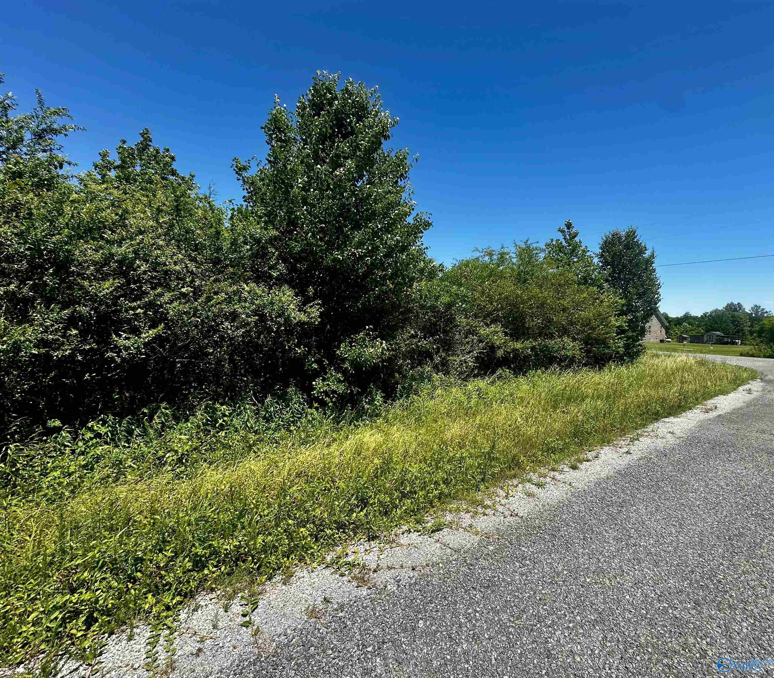 .85 Acre County Road 441, Rainsville, Alabama image 6