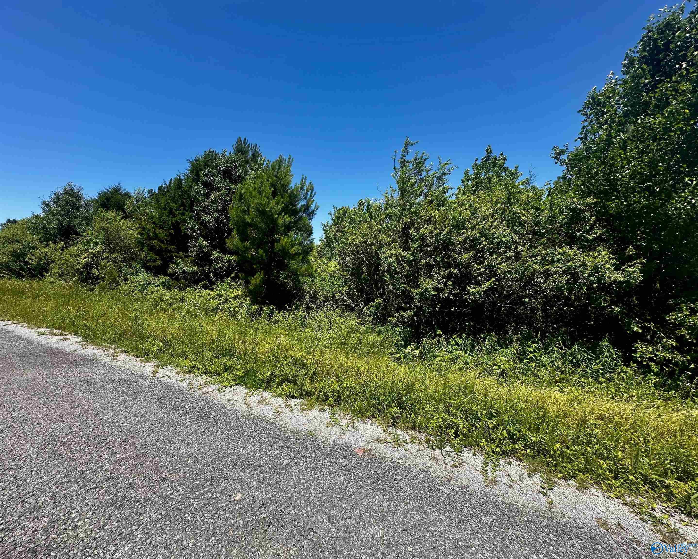 .85 Acre County Road 441, Rainsville, Alabama image 5