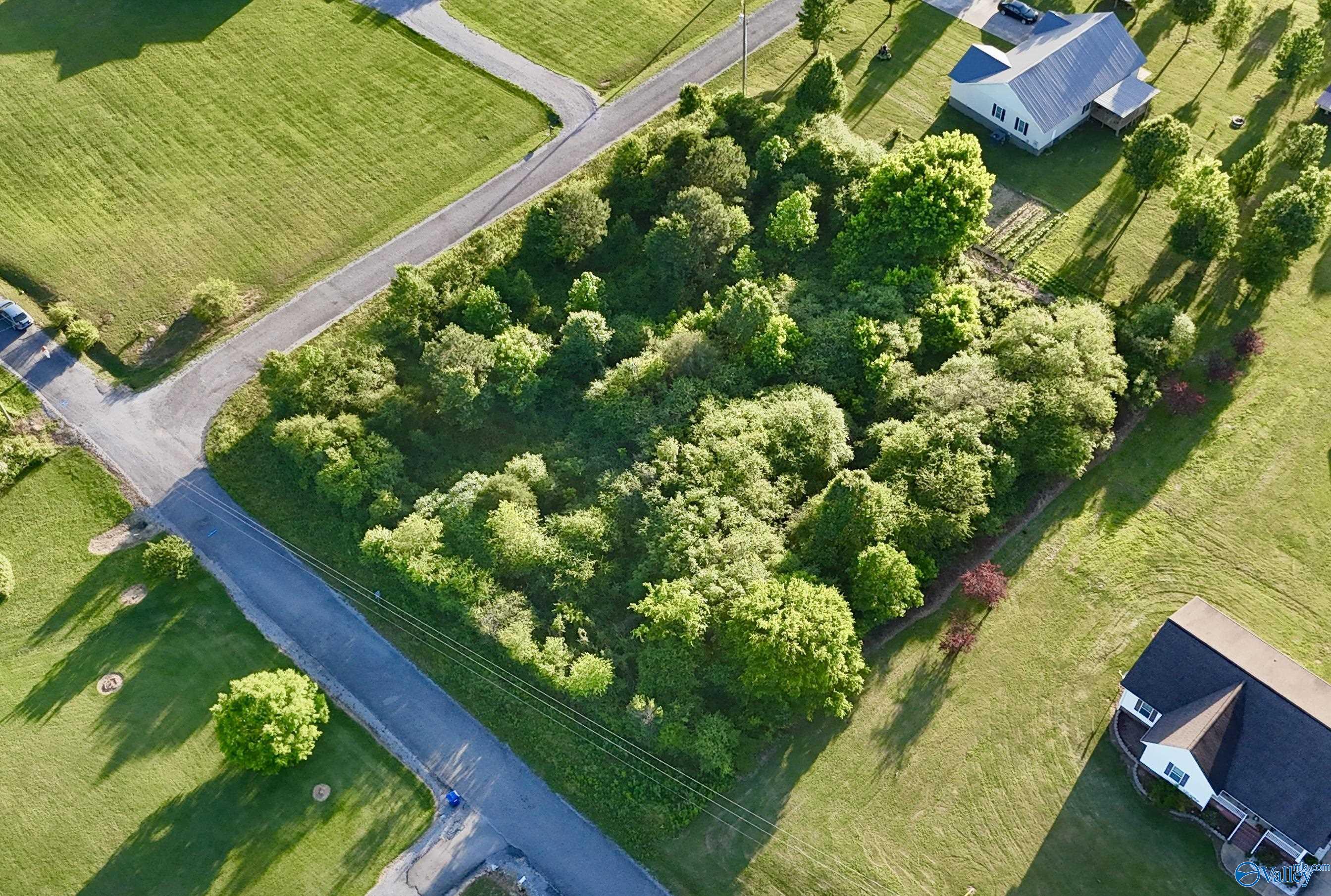 .85 Acre County Road 441, Rainsville, Alabama image 2