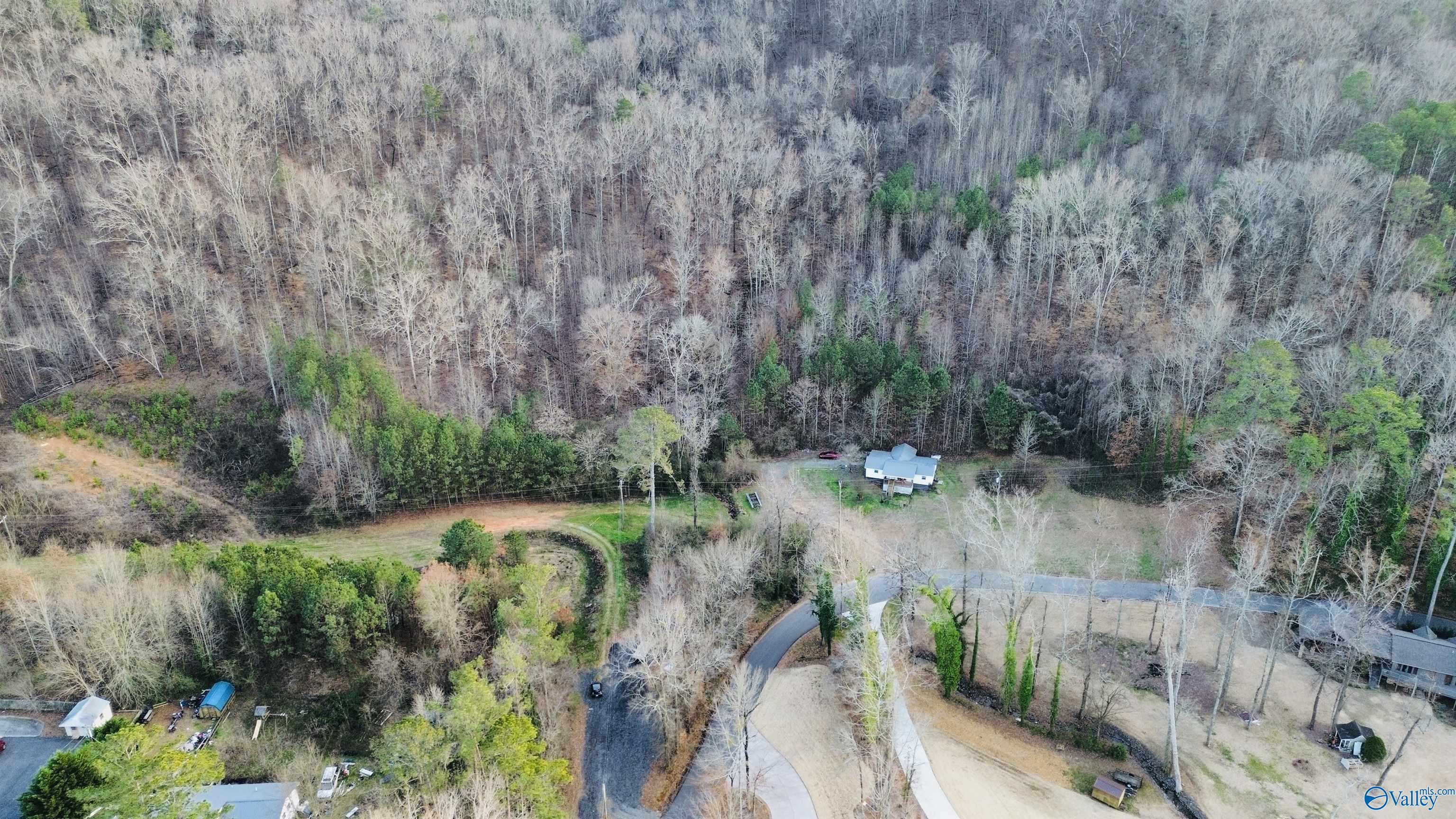 4157 Hideaway Drive, Guntersville, Alabama image 10