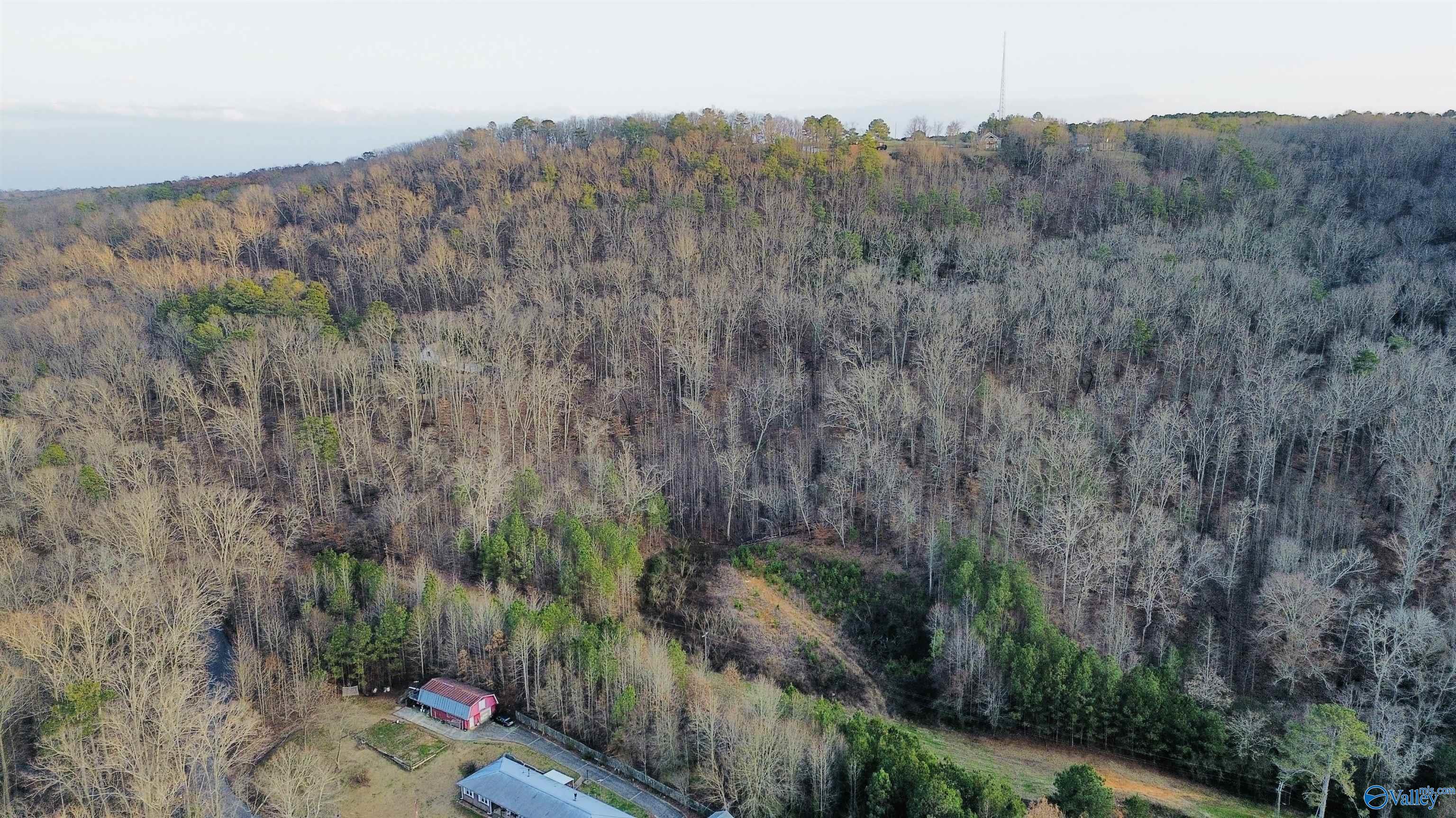 4157 Hideaway Drive, Guntersville, Alabama image 12