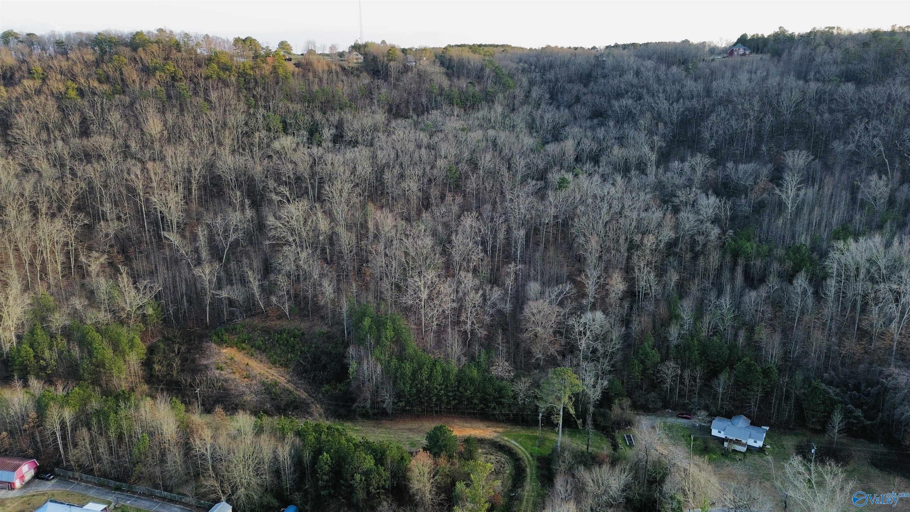 4157 Hideaway Drive, Guntersville, Alabama image 11