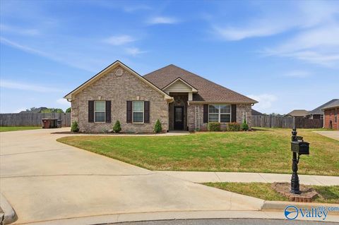 Homes For Sale - 13147 Trumpet Drive<br/> Madison, AL 35756